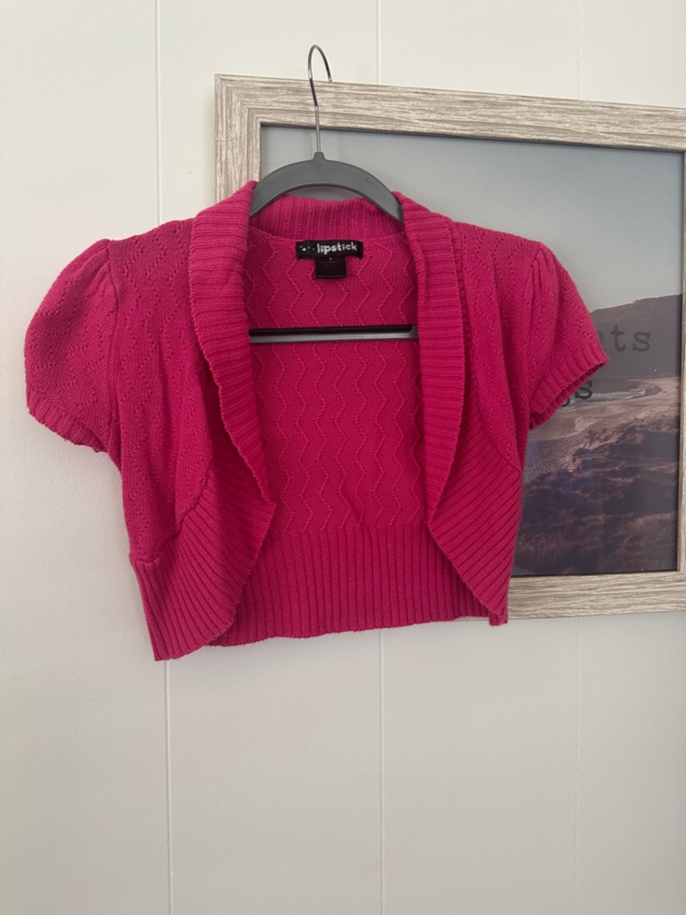 Size Small Lipstick Boutique Vibrant Pink Short Sleeve Open Knit Cardigan